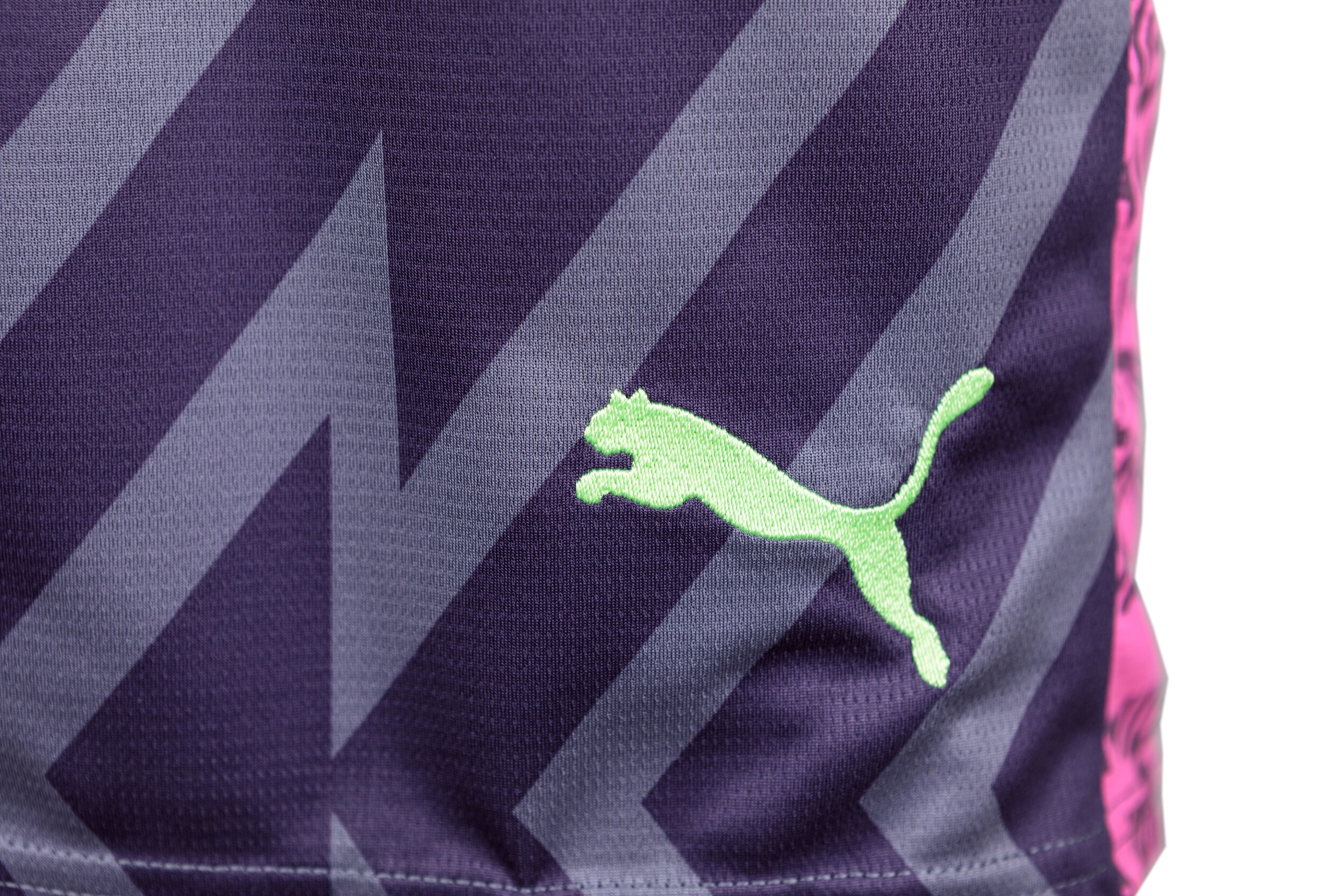 Puma Match GK Shorts Replica purple