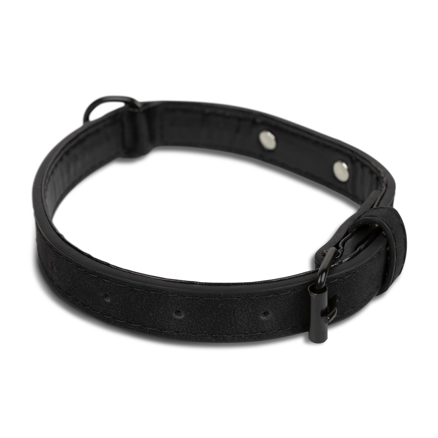 Halsband hund