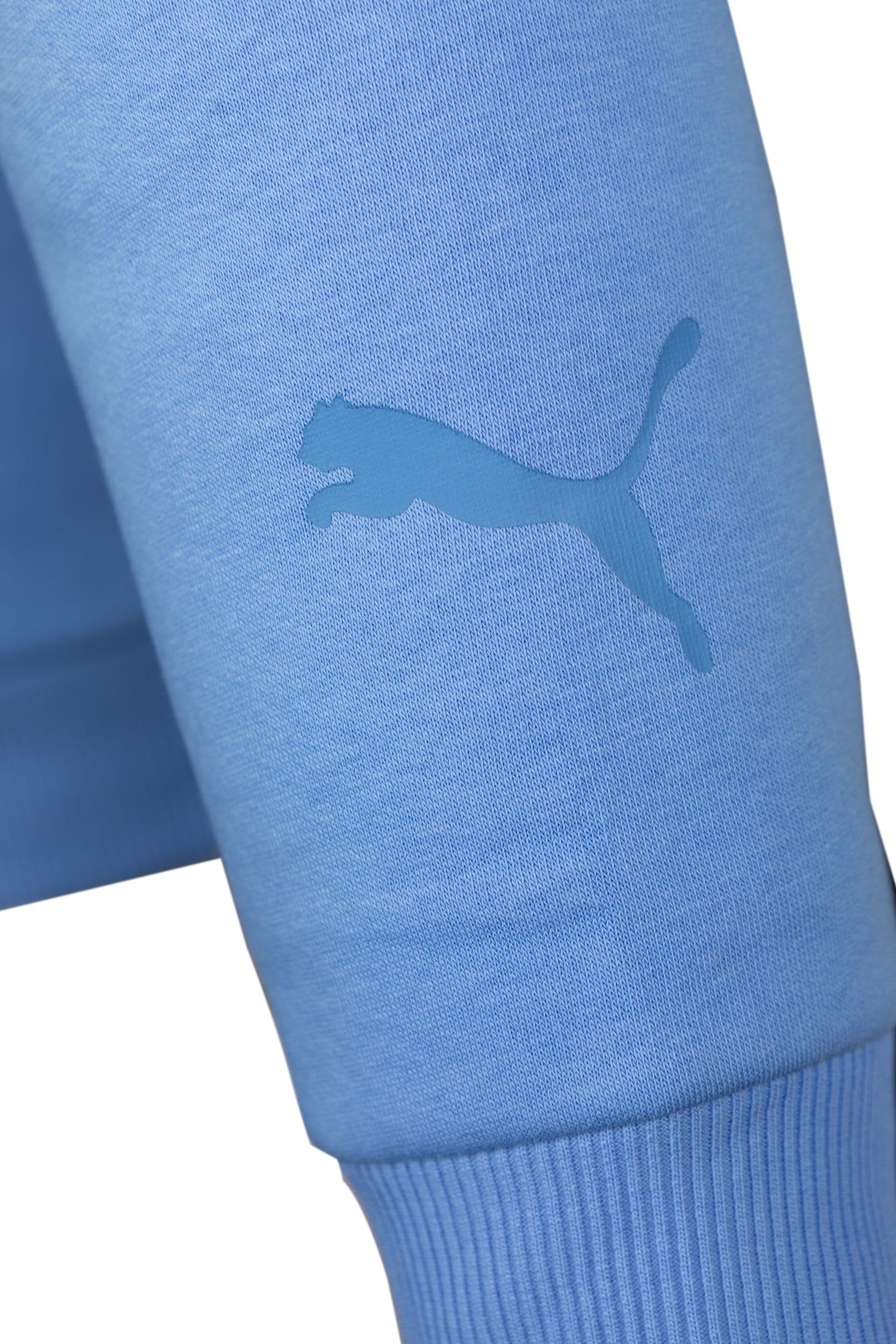 Puma hood ljusblå stor logo