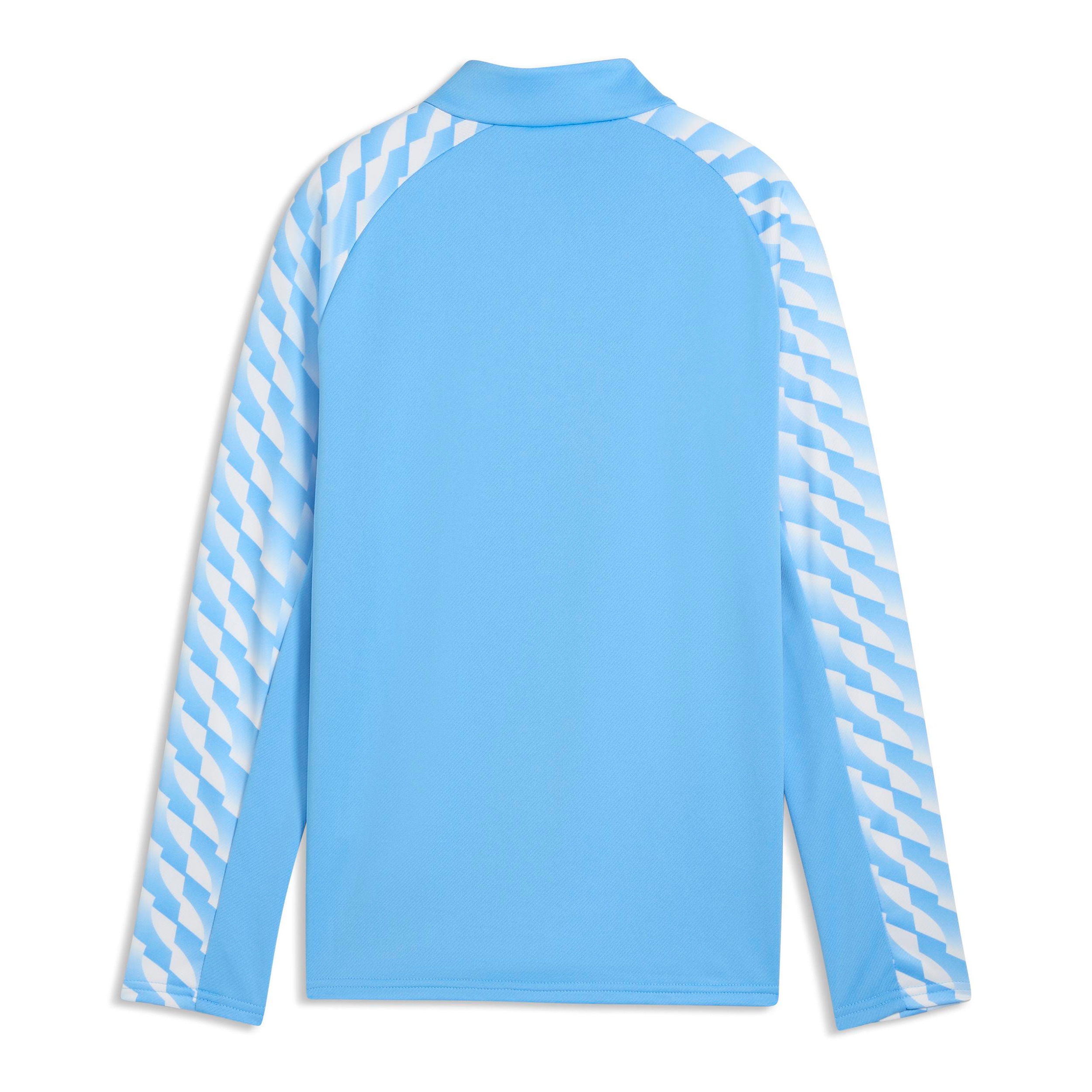 Puma teamLIGA26 Training 1/4 Zip Top Team Light blue