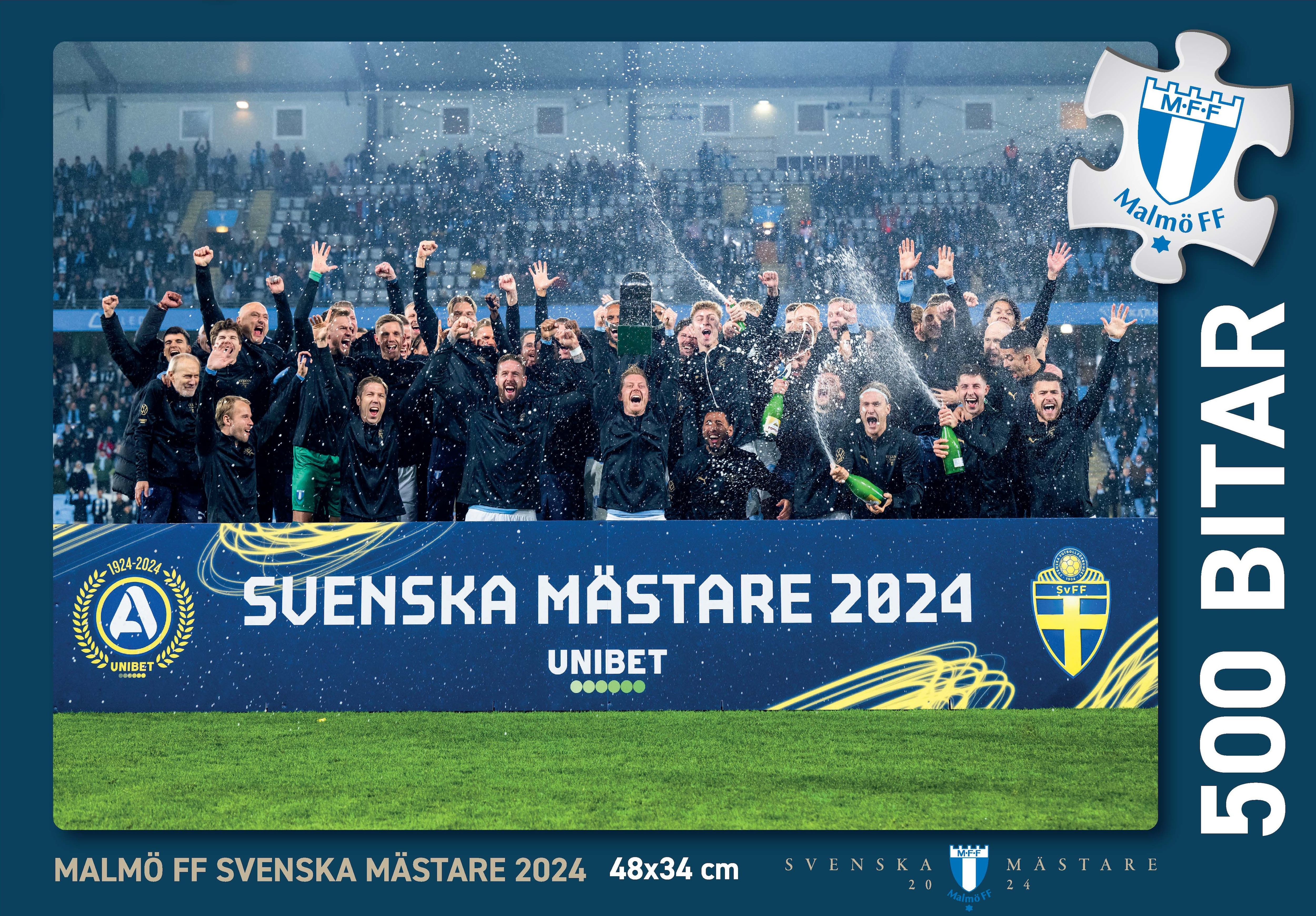 Pussel Svenska mästare 2024