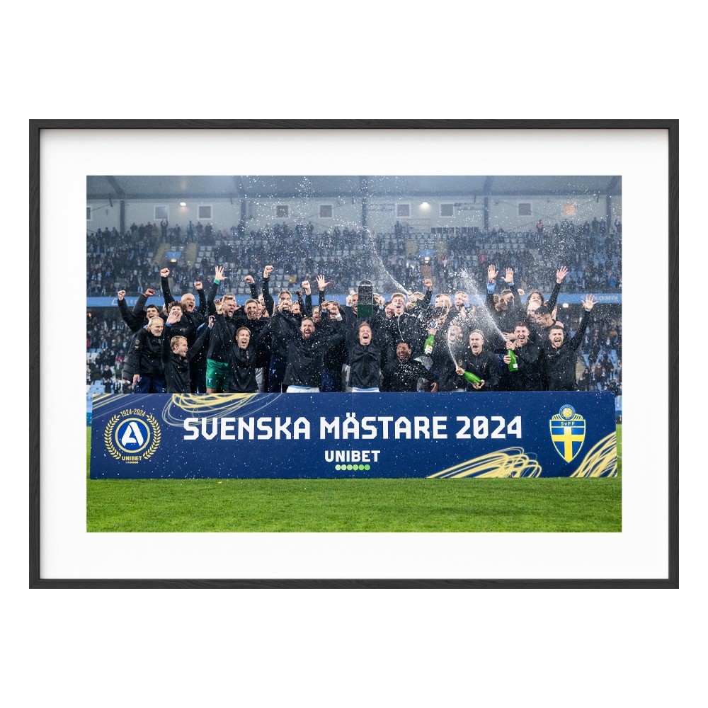 Poster Svenska Mästare 2024 - Lagbild