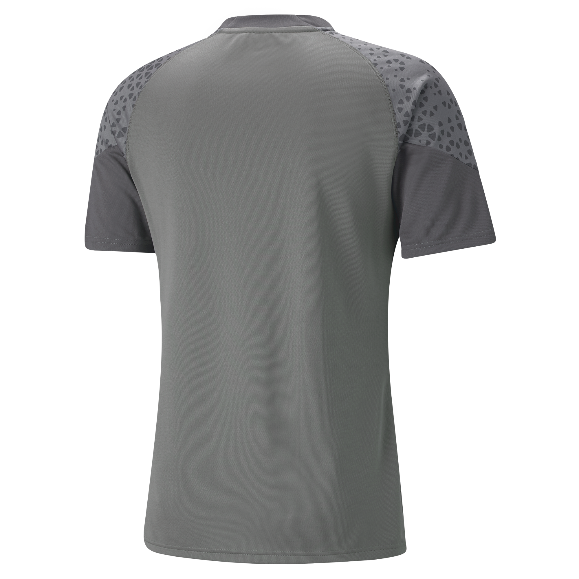 Puma teamCUP Training Jersey grå