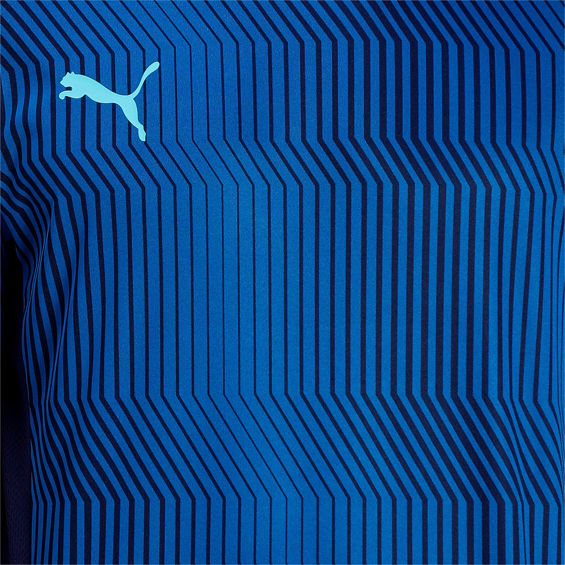 Puma TeamCup tr jersey marin