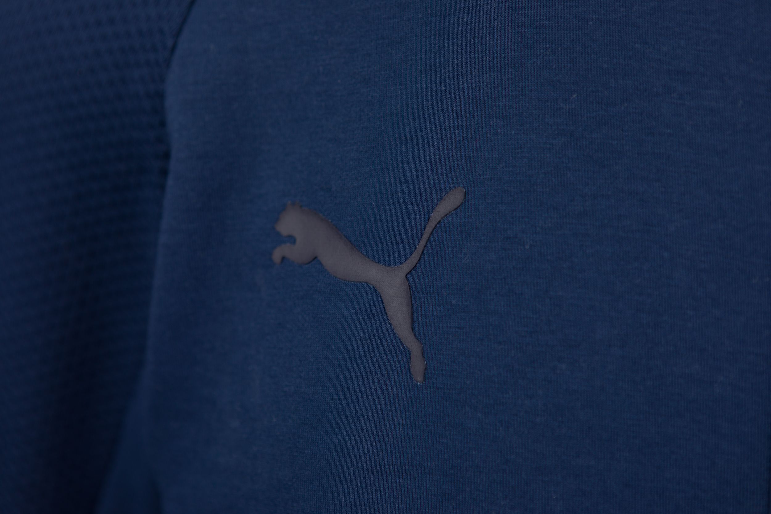 Puma teamcup ziphood marin logo