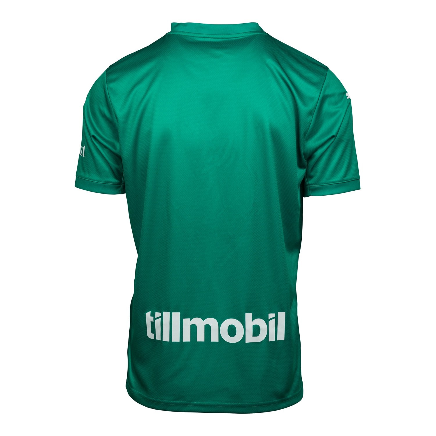 Puma målvaktströja grön 2024