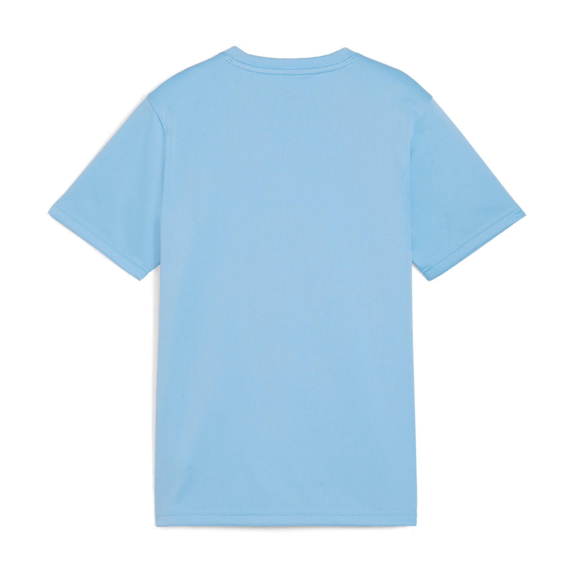 Puma teamGOAL Jersey Jr Light Blue