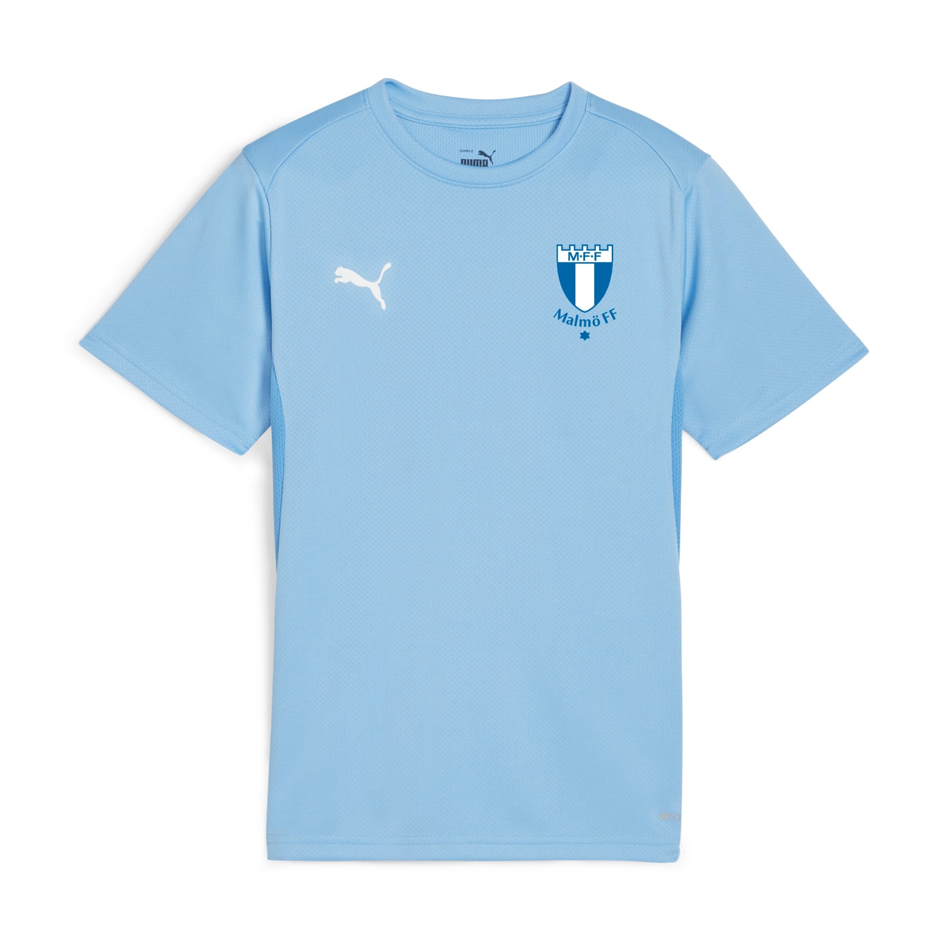 Puma teamGOAL Jersey Jr Light Blue