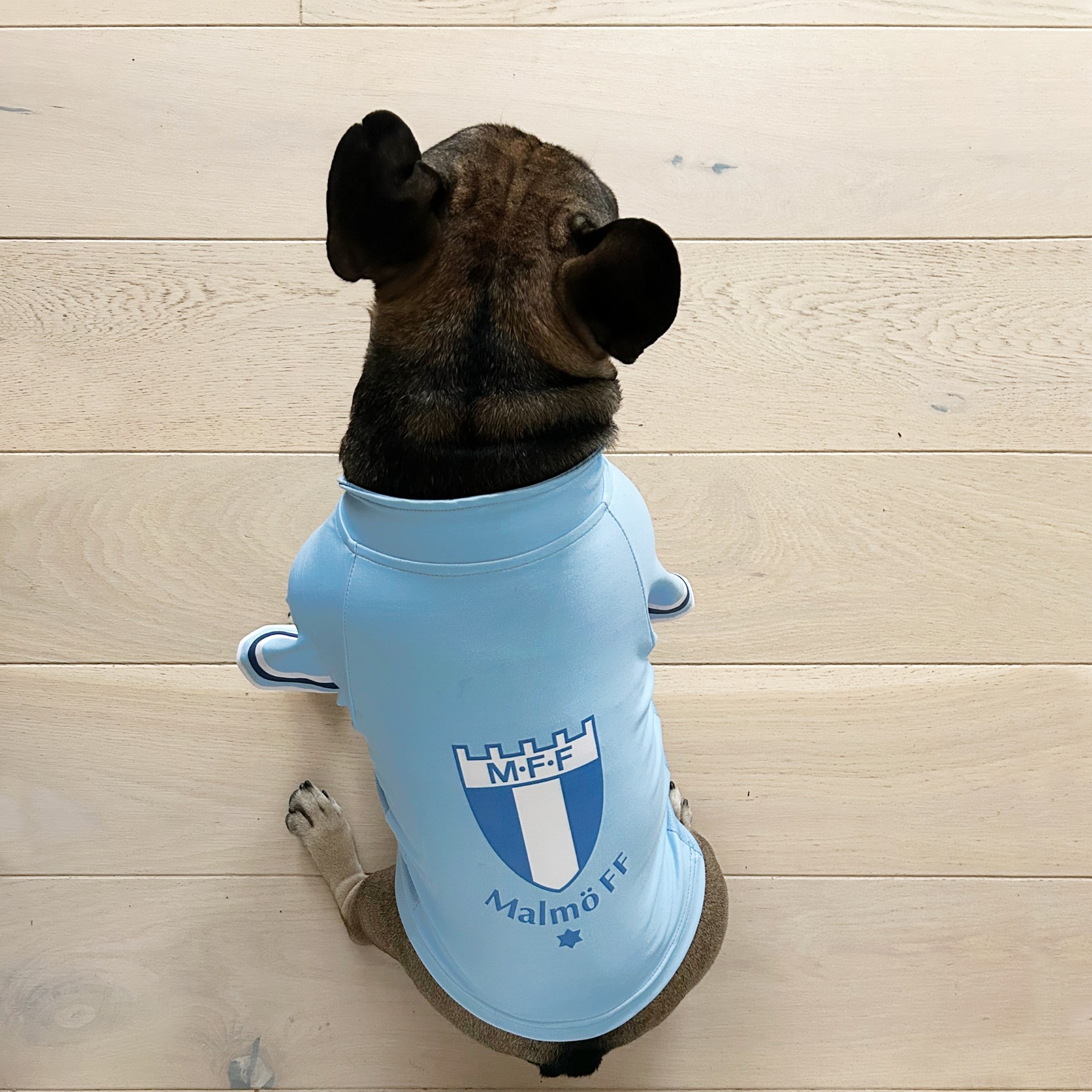 Hundtröja Malmö FF