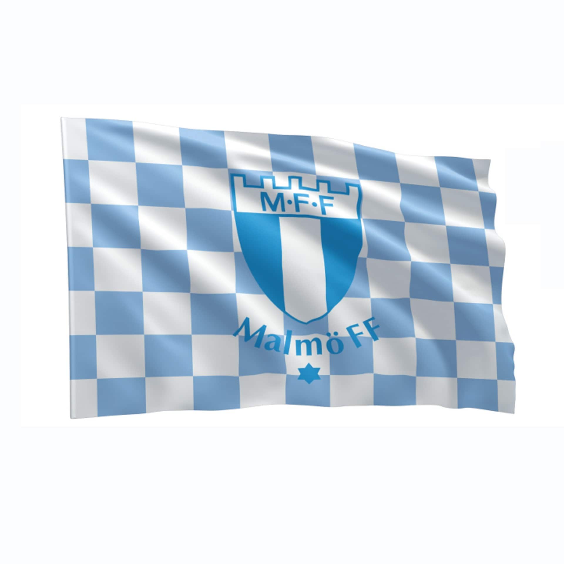 Flagga 70x100 rutig